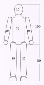 人体の部位別重量比の模式図