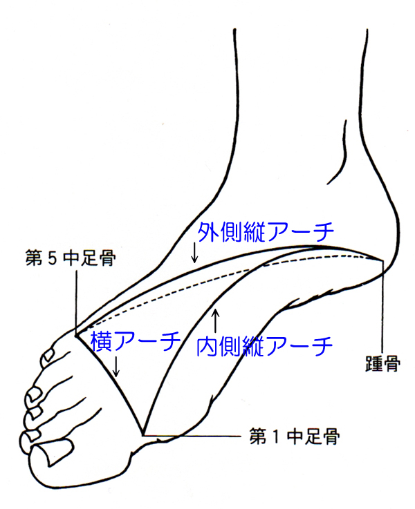 足のアーチ