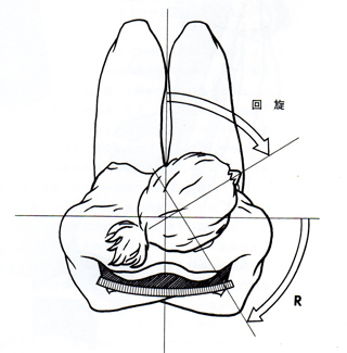 頚椎の可動域 回旋