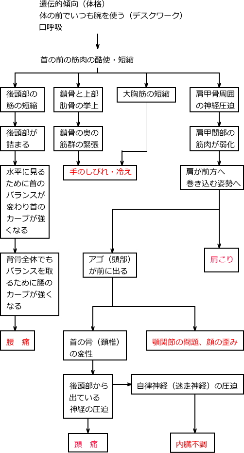 猫背姿勢のフローチャート