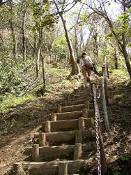 仙元山ハイキングコース