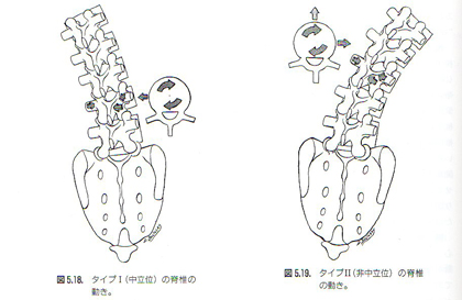 腰椎の側屈と回旋の関係図