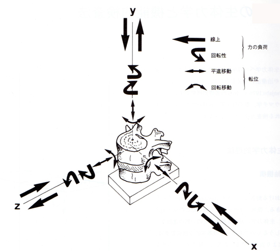 椎骨が3次元でどうずれているかあらわした図