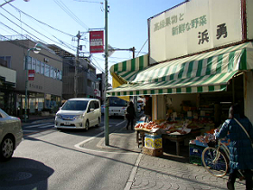 由比ガ浜大通り