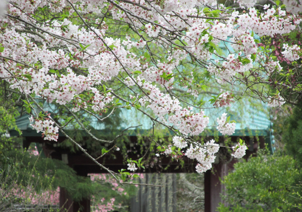 光則寺山門