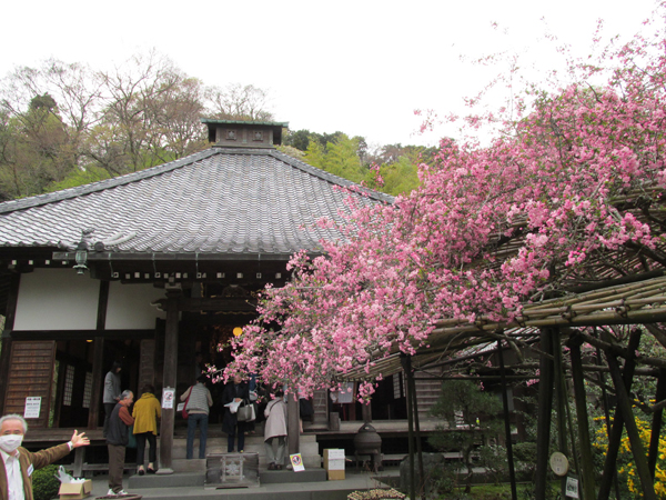 光則寺本堂前