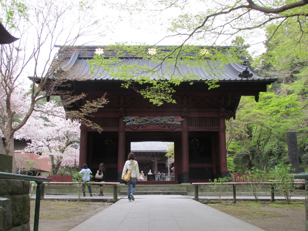 妙本寺山門